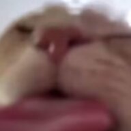 charachan