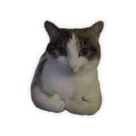 MontyG