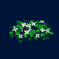melancholy