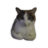 MontyG