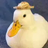BetterDuck