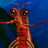 WilltheKrill