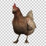 Chicken esp & aimbot
